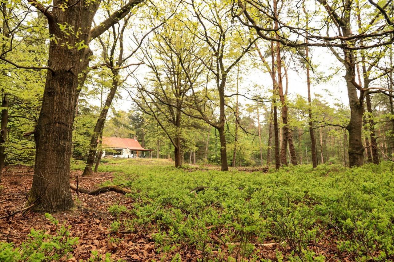 Vakantiehuis De Weeser Enk Epe Bagian luar foto